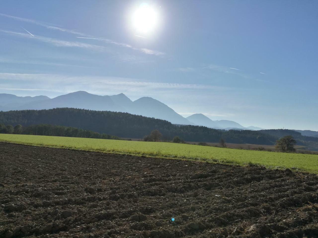 Landgasthof Piroutz St. Kanzian am Klopeiner See Exterior foto